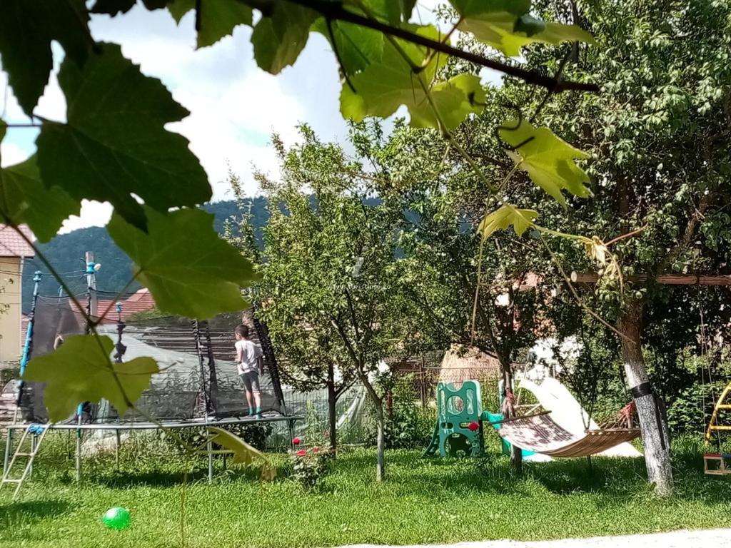 Casa Cornelia 호텔 브란 외부 사진