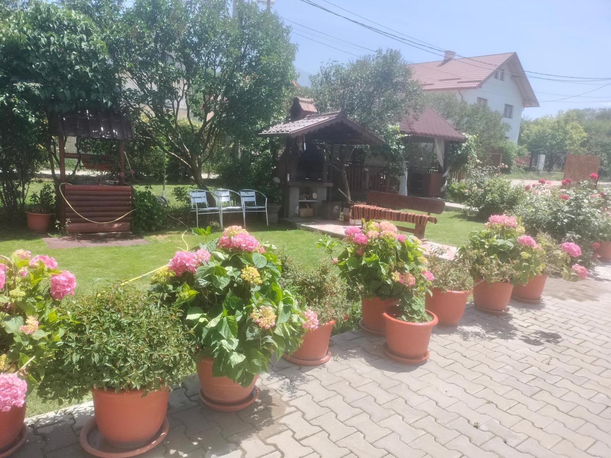 Casa Cornelia 호텔 브란 외부 사진
