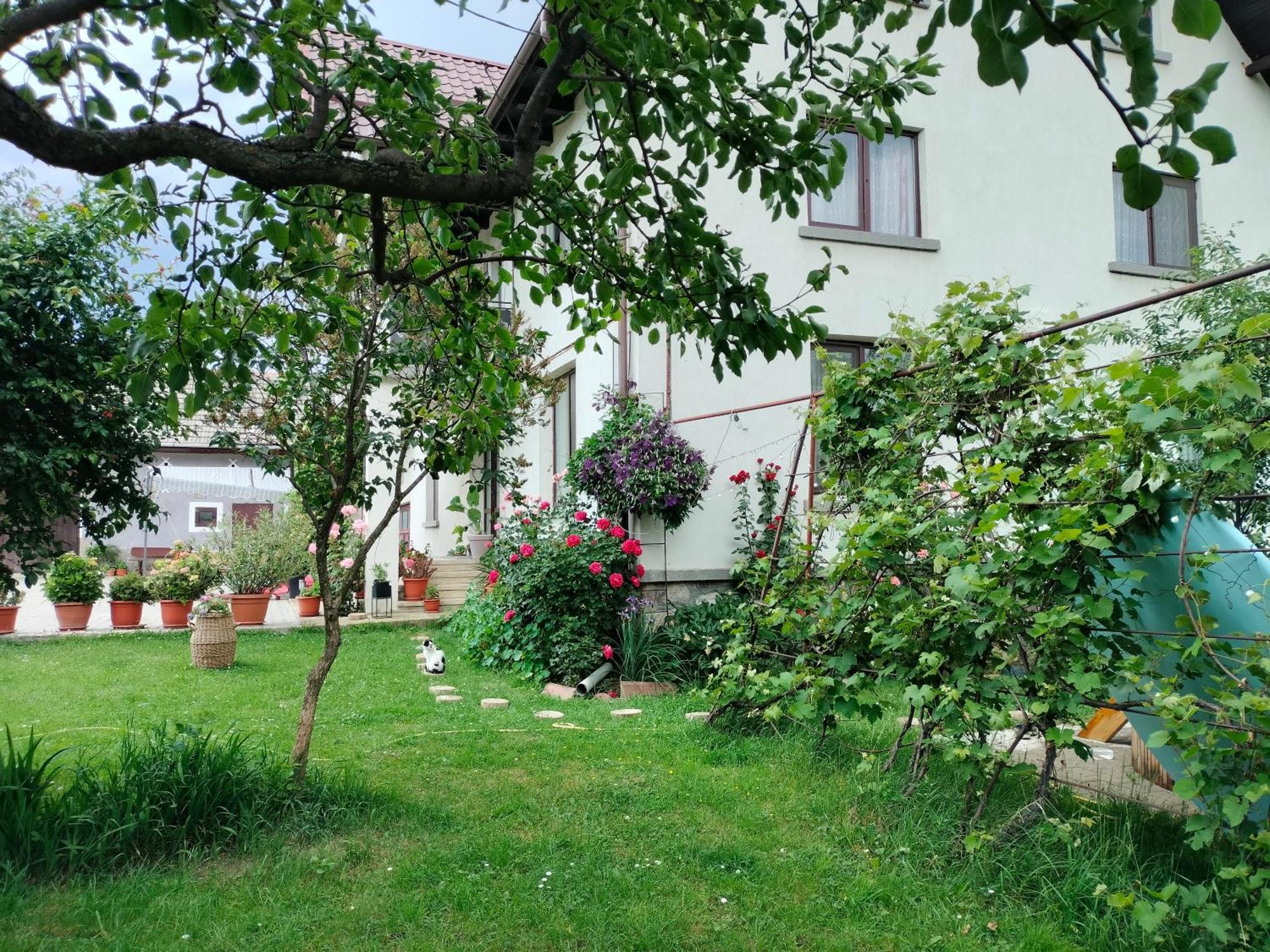 Casa Cornelia 호텔 브란 외부 사진